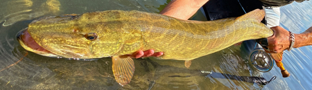 Réglementation 2eme cat