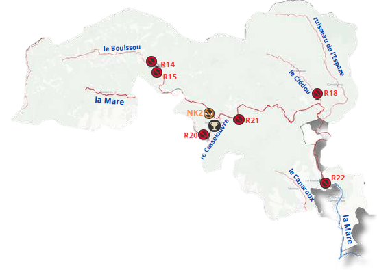 Gaule Minière de la Mare