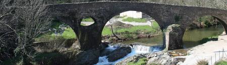 AAPPMA La Gaule Minière de la Mare