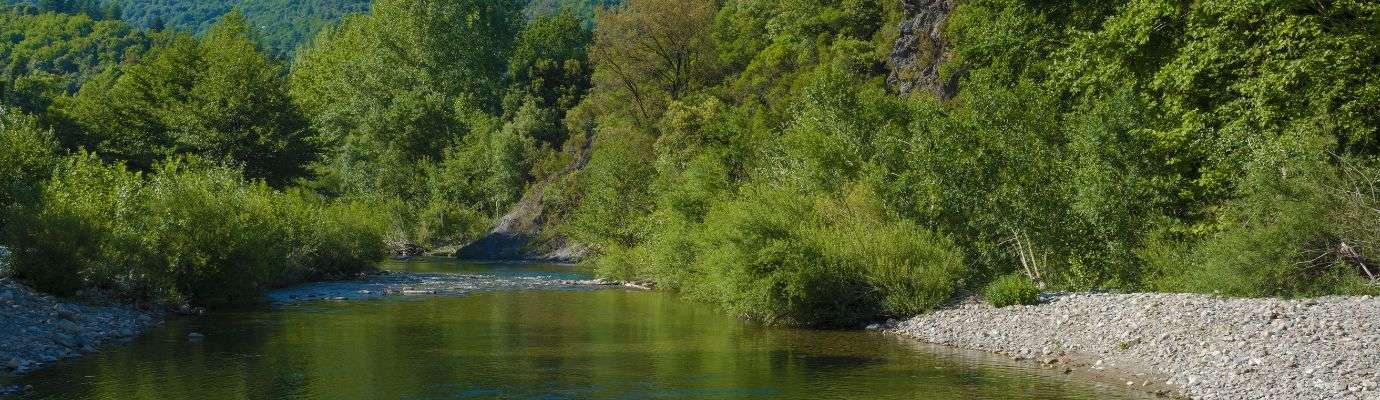 AAPPMA La Truite du Jaur