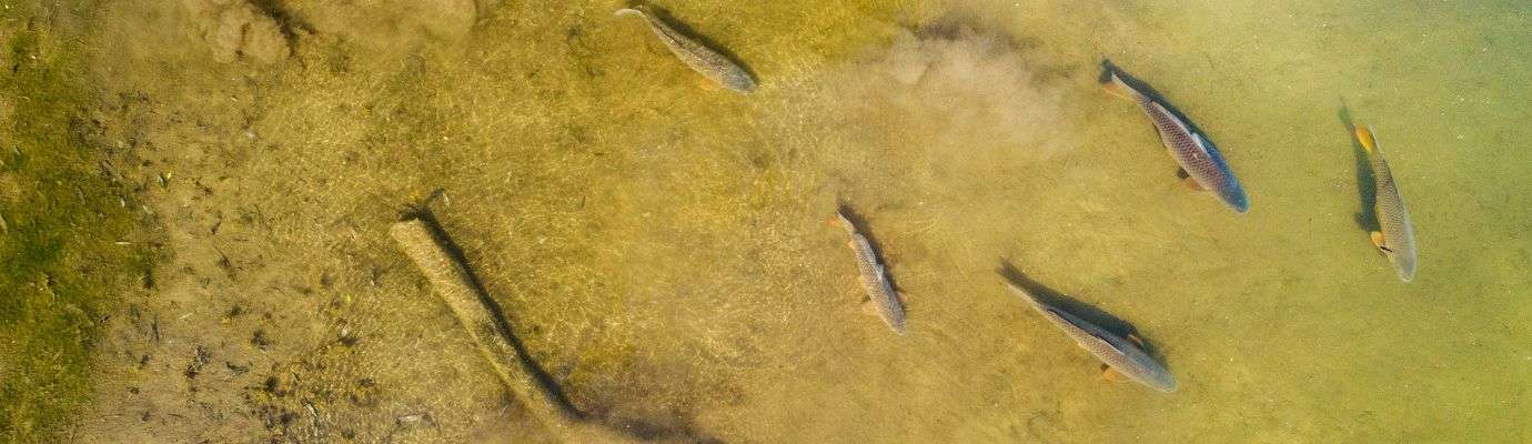 AAPPMA - cours d'eau