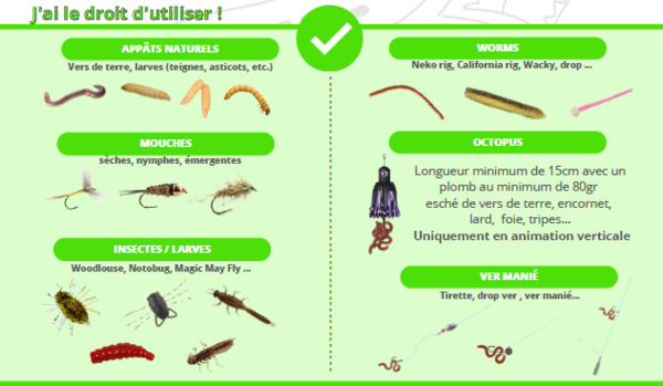 Période fermeture brochet - techniques autorisés