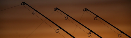 Parcours carpe de nuit