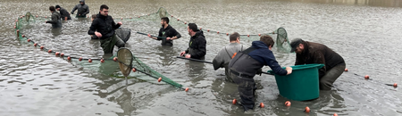 Pêche de sauvetage